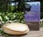 Pure Plant Tradition Soap with AOC fine Lavender